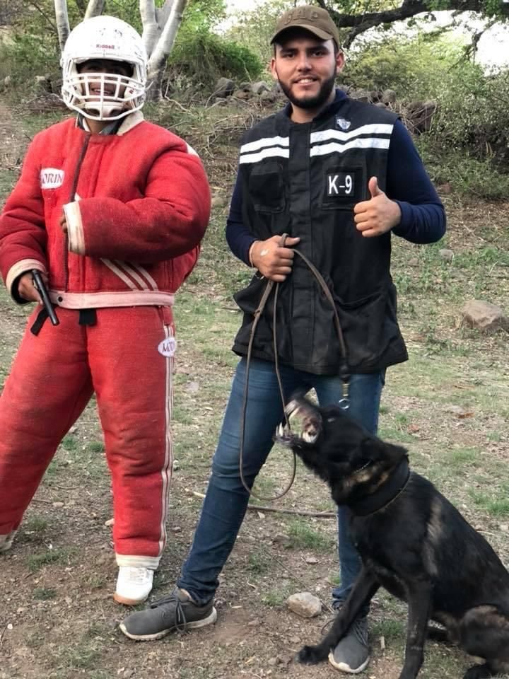Entrenadores Caninos Profesionales de K9 MAXCAL trabajando con perros
